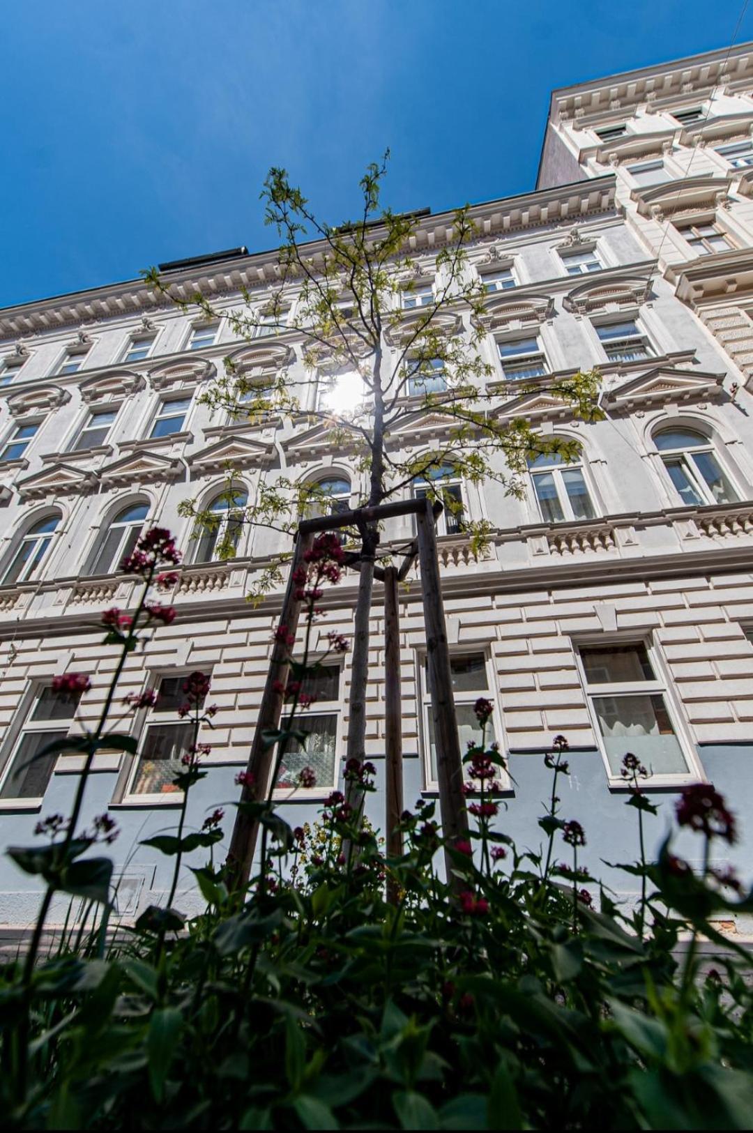 Vienna My City Apartment 2Bedroom מראה חיצוני תמונה